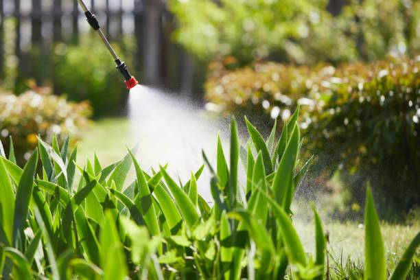 24/7 Emergency Mosquito Control experts in West Fork, AR